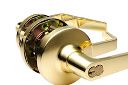 Glus3 10218962 Glus3 10218962