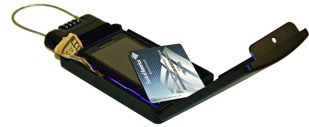 Portable Safe 10244360
