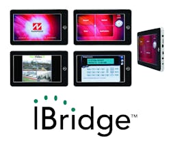 Ibridge Press01 10271673 Ibridge Press01 10271673