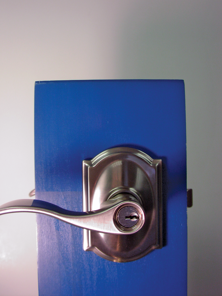 New Schlage Lever Lock With Built In Alarm Locksmith Ledger