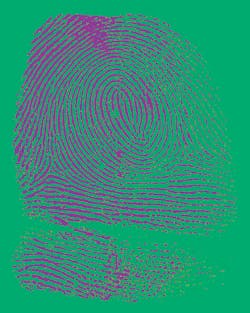 Fingerprint recognition remains the most common biometric technology