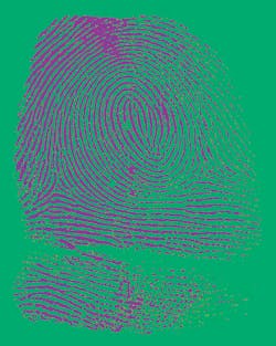 Fingerprint recognition remains the most common biometric technology Fingerprint recognition remains the most common biometric technology