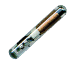 1. Ampuole (glass) Transponder 1. Ampuole (glass) Transponder