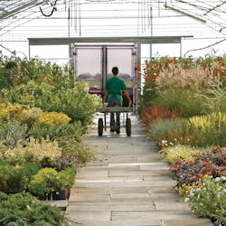 Gardenshop 10822165 Gardenshop 10822165