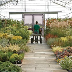 Gardenshop 10823685 Gardenshop 10823685