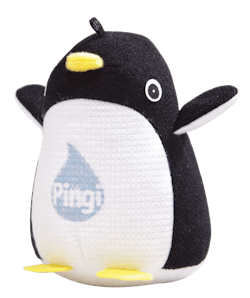 Pingi Us Photo 12 11131127 Pingi Us Photo 12 11131127