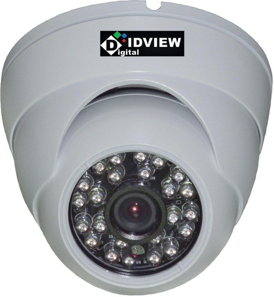 Digital IDView Indoor/Outdoor Dome Camera