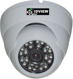 Digital IDView Indoor/Outdoor Dome Camera