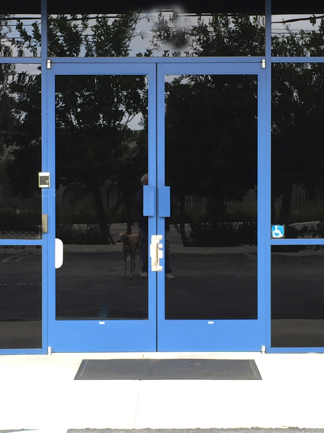 Electronic Access Control and Latch Protection