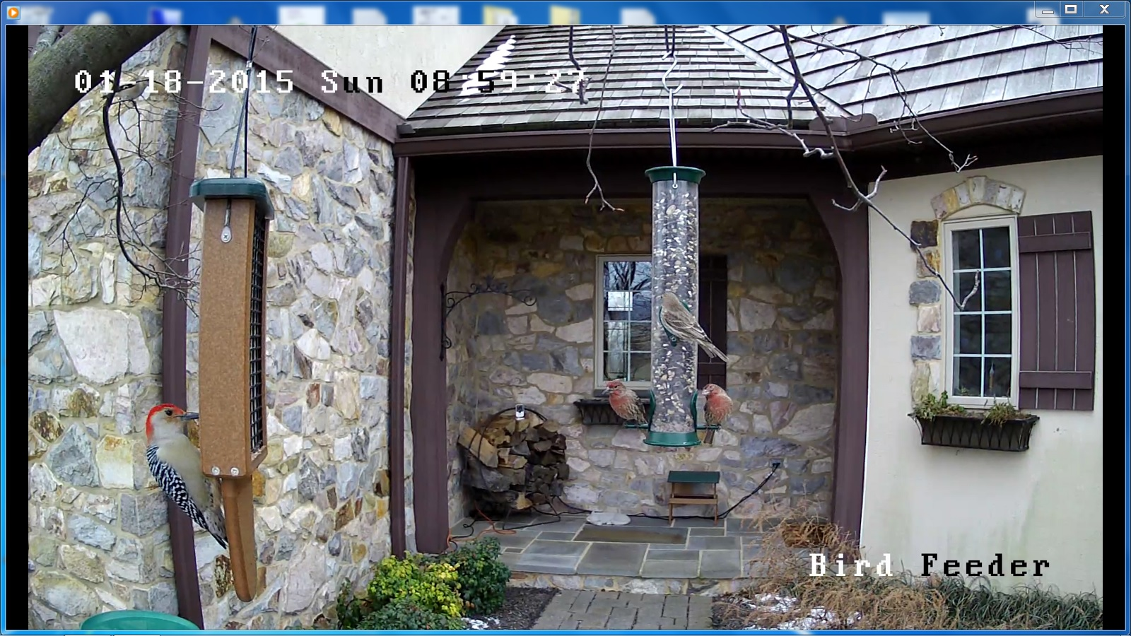 Daytime surveillance footage