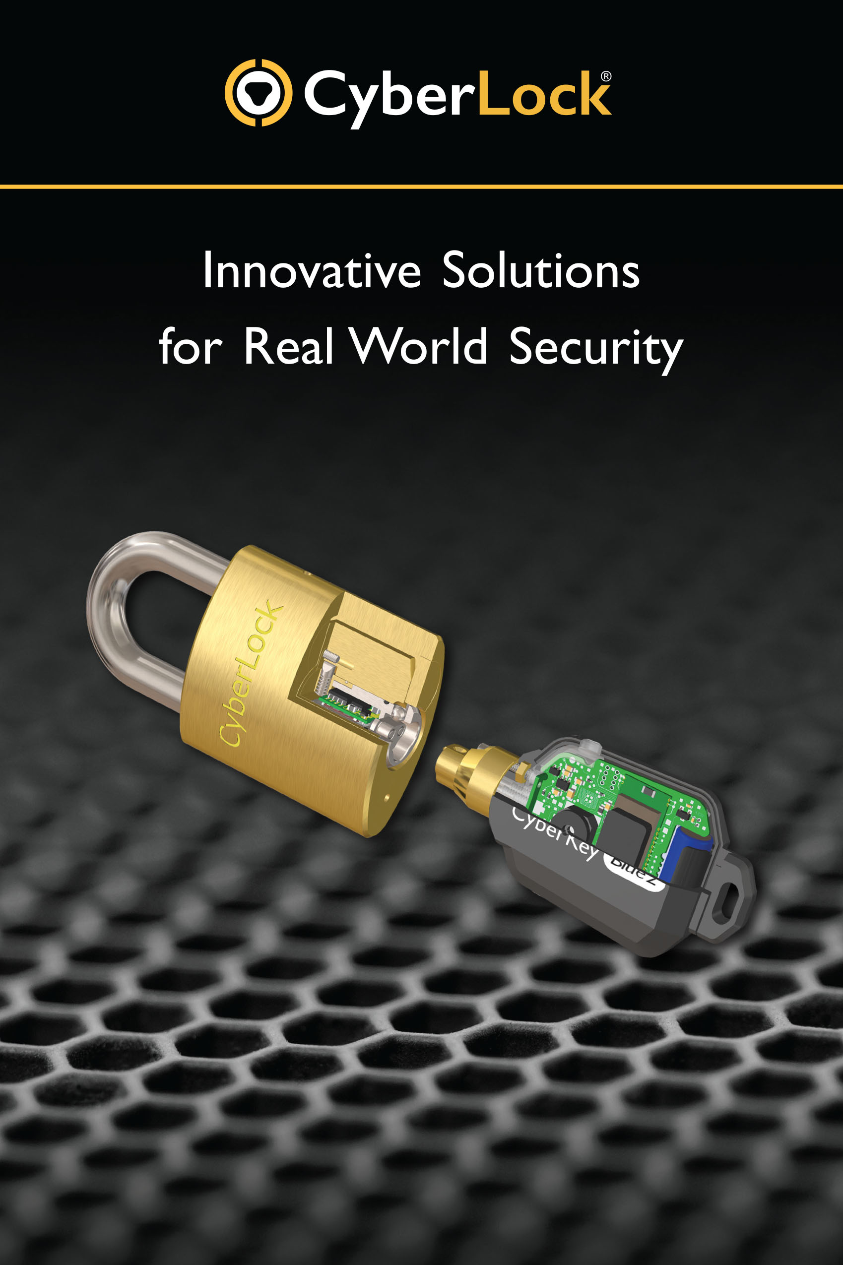 CyberLock catalog