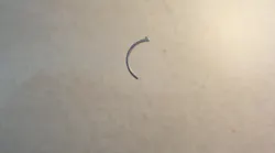 Ring2