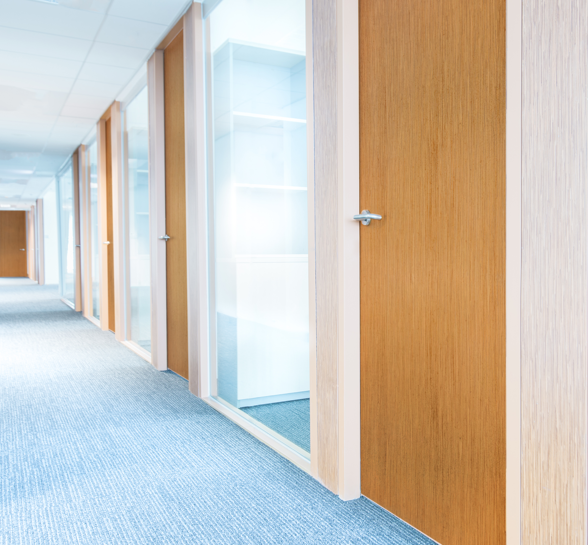 ASSA ABLOY's new Smooth Grain Steel Doors, in cashew