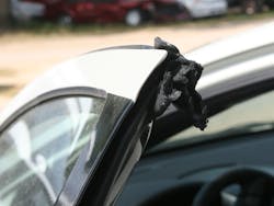 A Mitsubishi Galant that I came across at an auction A Mitsubishi Galant that I came across at an auction