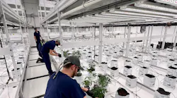 Highlands Grow, secured by Paxton Access