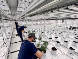 Highlands Grow, secured by Paxton Access Highlands Grow, secured by Paxton Access