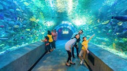 Newport Aquarium Pr Image 1 65318bee6c11c Newport Aquarium Pr Image 1 65318bee6c11c