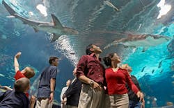 Newport Aquarium Newport Aquarium