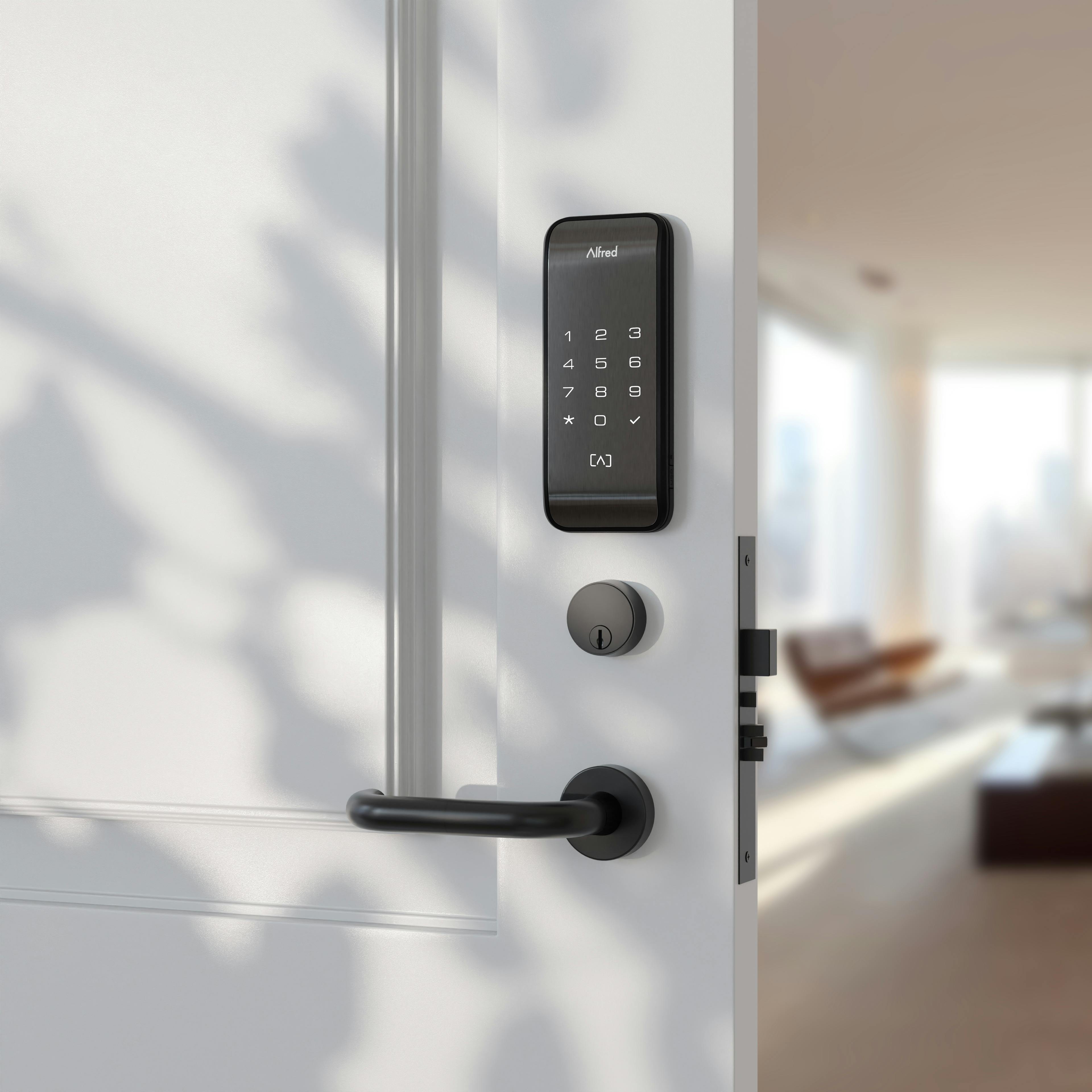 66bb5ff4058600667af82f4c Alfred Ml2 Lock Outside Black With Keypad