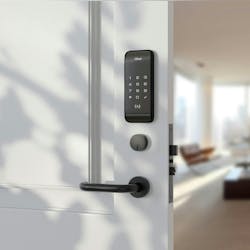 66c35e12b1a6056c12eddd47 Alfred 66c35e12b1a6056c12eddd47 Alfred