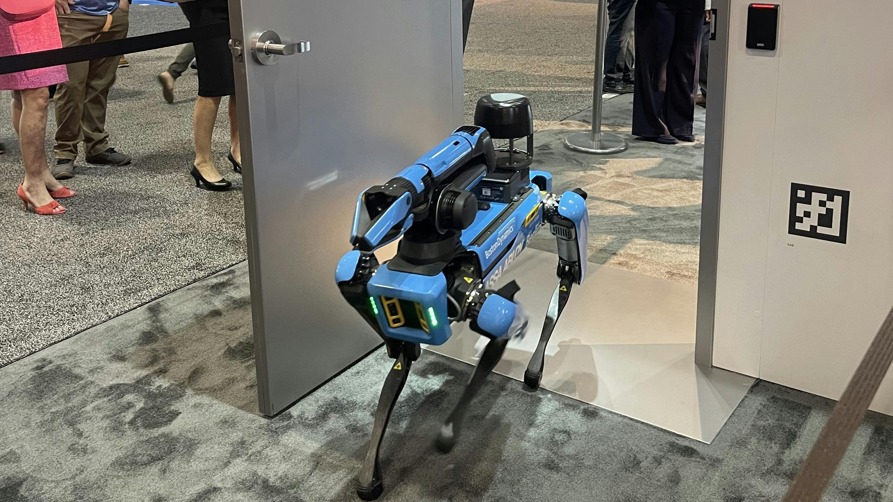 66f4057a2455c2469941dd52 Spot Entryway