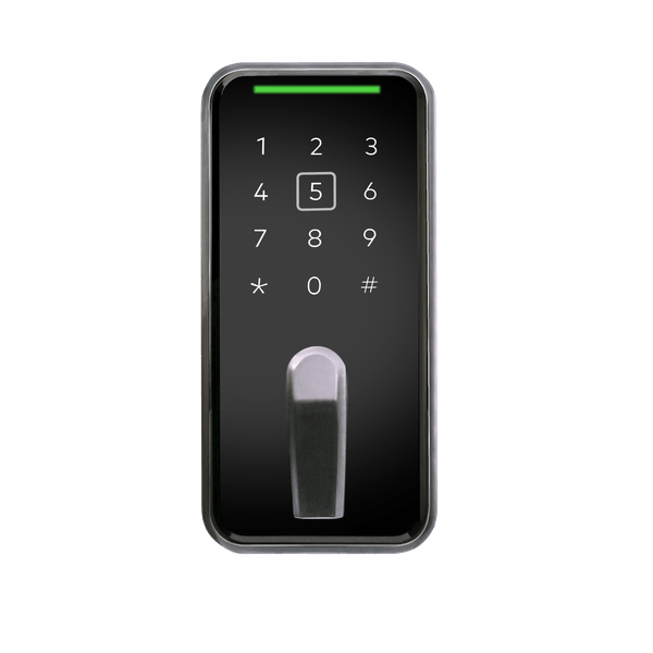 dk_lyazon_cloud_api_with_saffire_evo_wifi