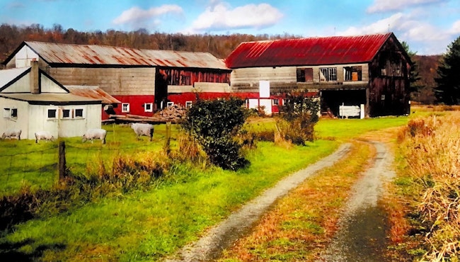 Humble beginnings: Top Notch started out in this barn in Honesville, Pennsylvania