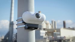 68f904825c9964968ec5e44a C005plant 68f904825c9964968ec5e44a C005plant